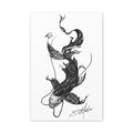 Koi